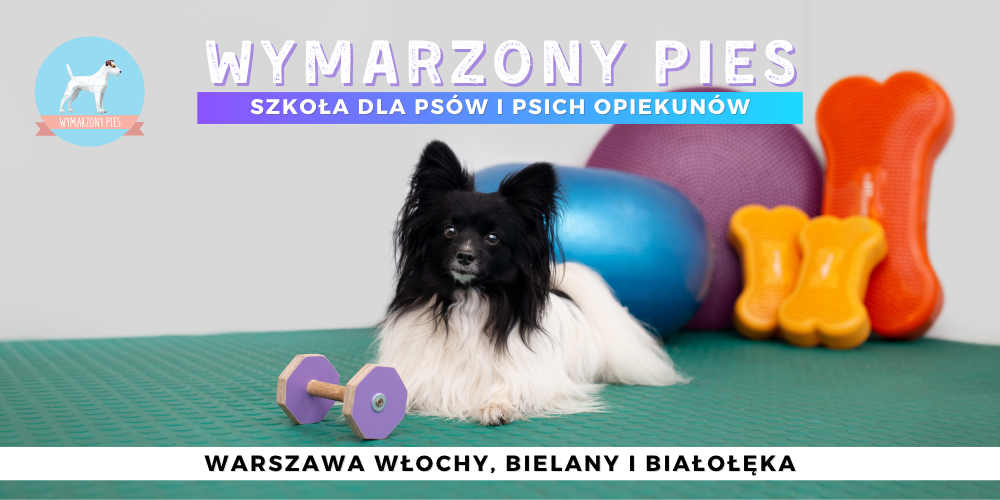 Szkolenie psów warszawa