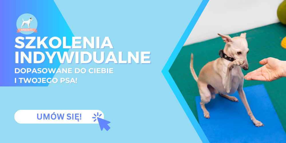 Konsultacje behawioralne (2)