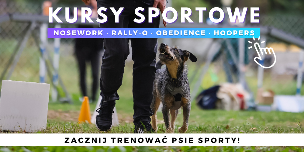 Konsultacje behawioralne