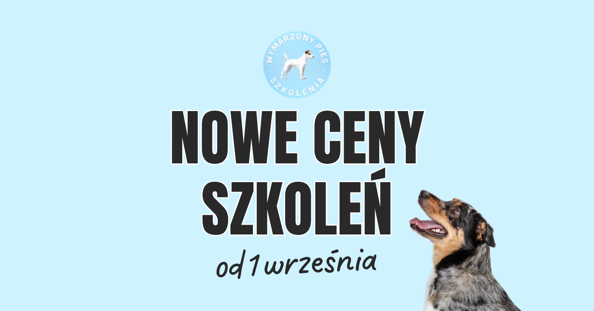 Projekt bez nazwy (1)